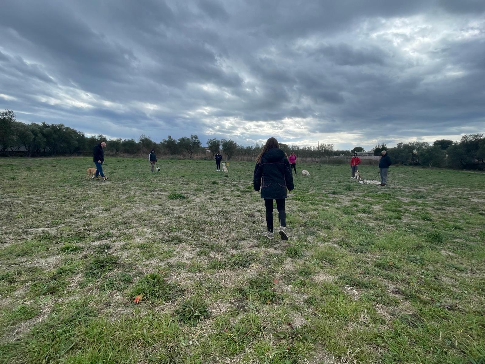 0854c351-0edf-4596-a0c2-a27c3d281380