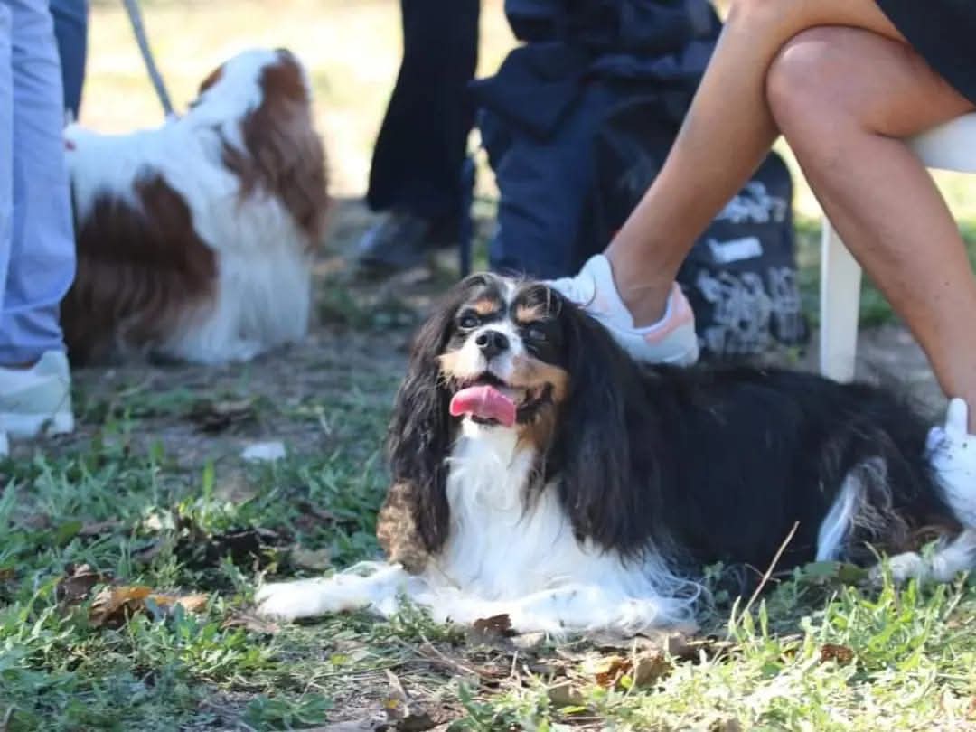 5496a9f3-326b-45a7-928e-b2a365e41264