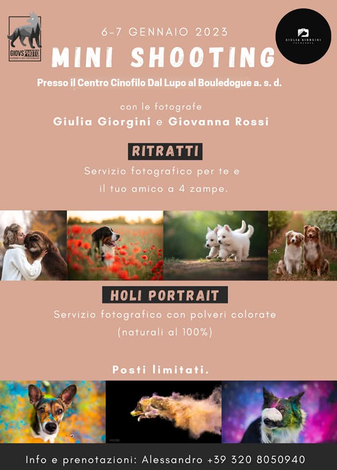 932a1d18-6bc2-4b84-8ef8-d744ea70205e