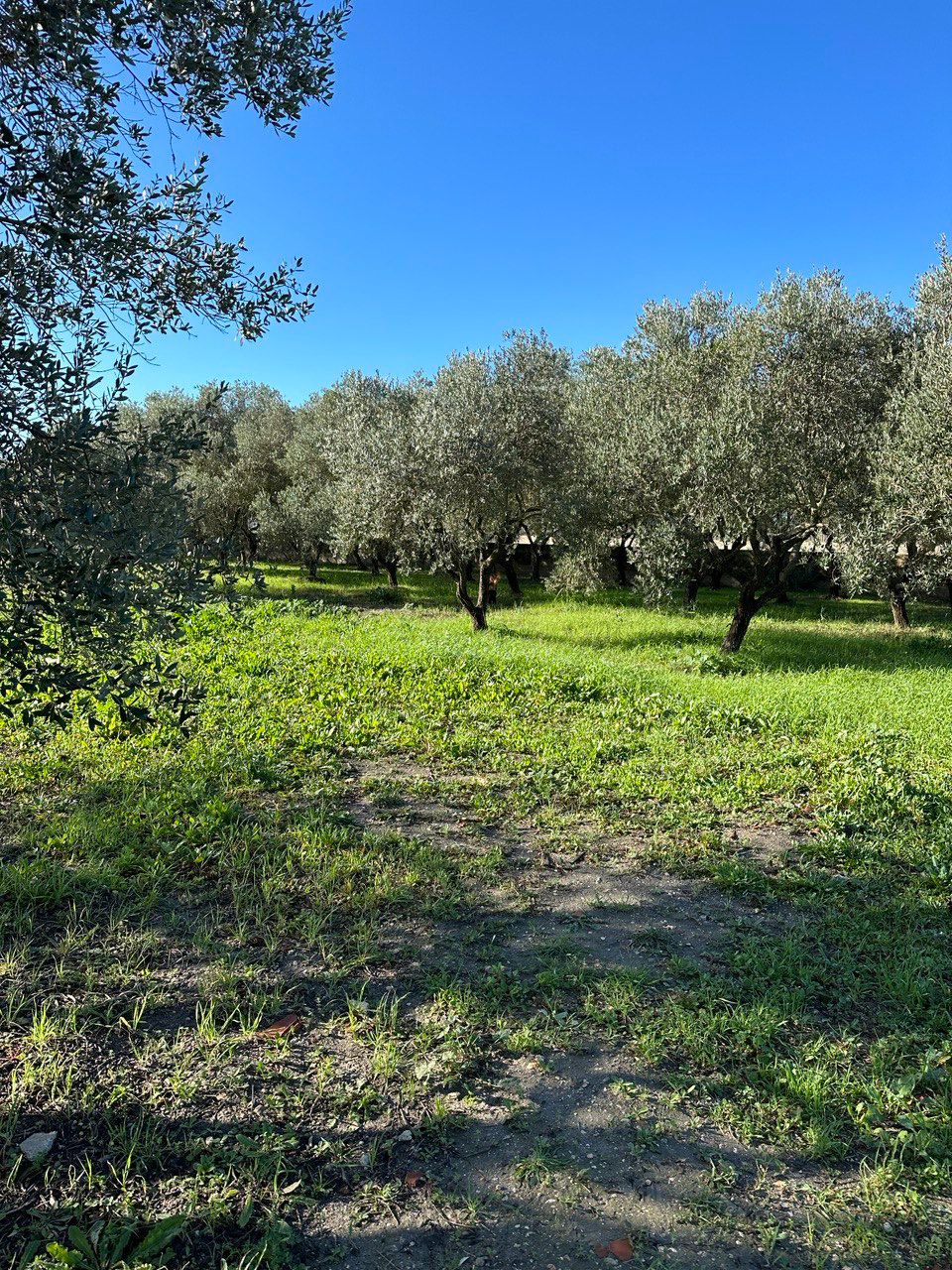 b53edaa4-35d5-4a2e-bc20-4c369e4c0437