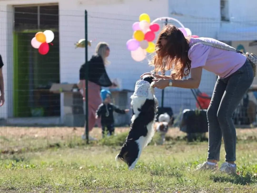 ca9c219a-b4dd-4ab1-8ff8-81ddc0c9fcfb